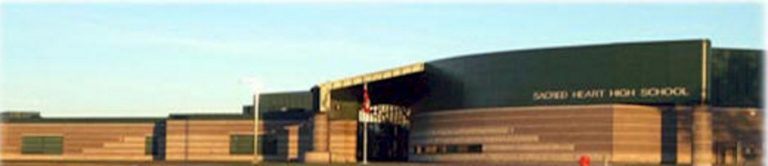 banner 940x203 768x166 1